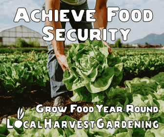 grow food year round