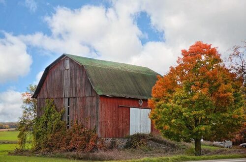 red barn with fall foliage