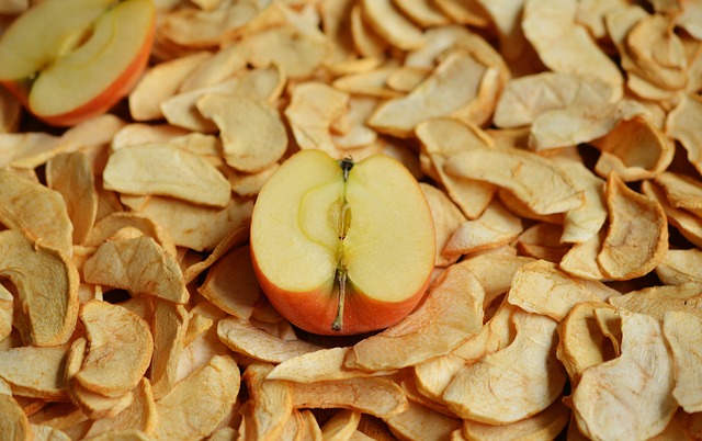dried apples made with food dehydrator