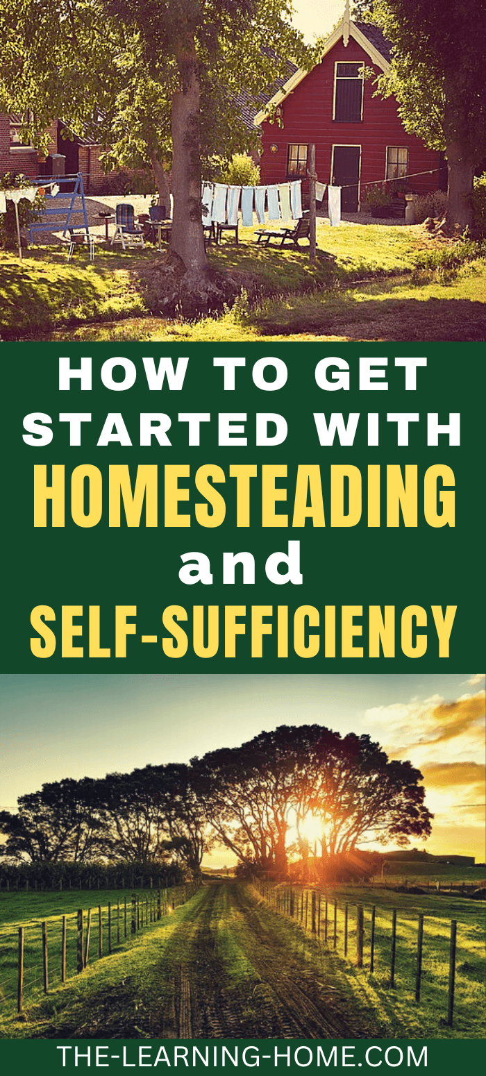 What is Homesteading? (current trends 2022) The Learning Home